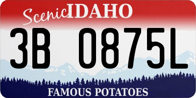 ID license plate 3B0875L
