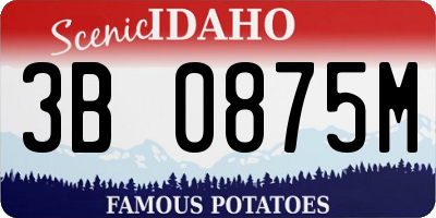 ID license plate 3B0875M