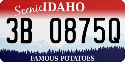 ID license plate 3B0875Q