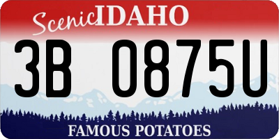 ID license plate 3B0875U