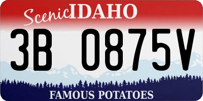 ID license plate 3B0875V