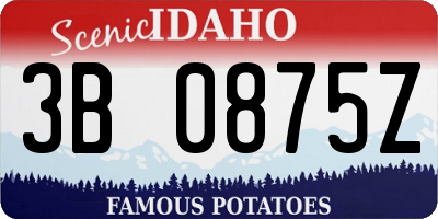 ID license plate 3B0875Z