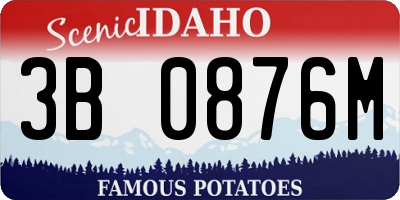 ID license plate 3B0876M