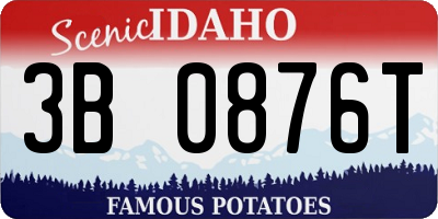 ID license plate 3B0876T