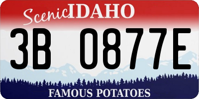 ID license plate 3B0877E
