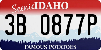 ID license plate 3B0877P