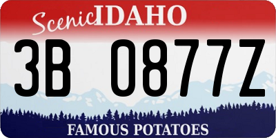 ID license plate 3B0877Z
