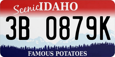 ID license plate 3B0879K