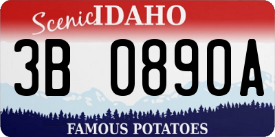 ID license plate 3B0890A