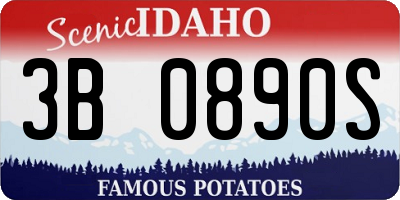 ID license plate 3B0890S