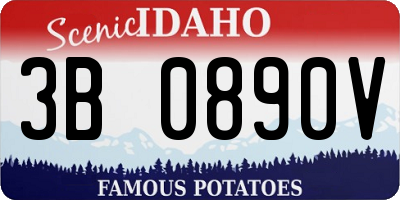ID license plate 3B0890V