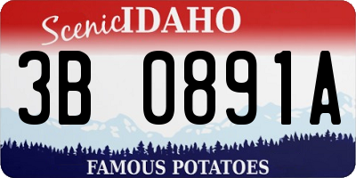 ID license plate 3B0891A