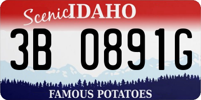 ID license plate 3B0891G