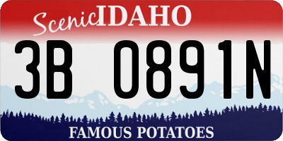 ID license plate 3B0891N