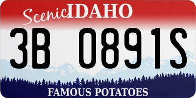 ID license plate 3B0891S
