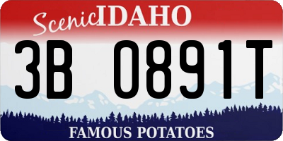 ID license plate 3B0891T