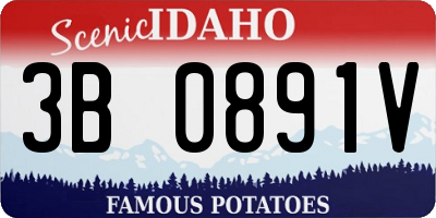 ID license plate 3B0891V