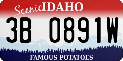 ID license plate 3B0891W