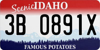 ID license plate 3B0891X