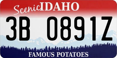 ID license plate 3B0891Z
