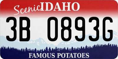 ID license plate 3B0893G