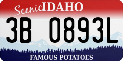 ID license plate 3B0893L