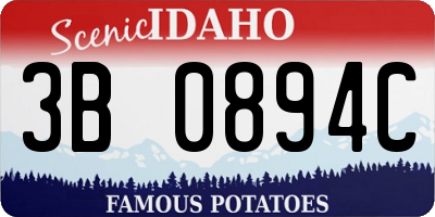 ID license plate 3B0894C