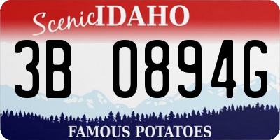 ID license plate 3B0894G