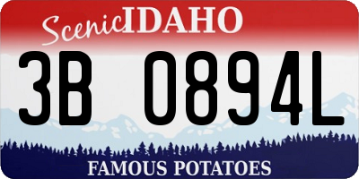 ID license plate 3B0894L