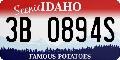 ID license plate 3B0894S
