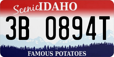 ID license plate 3B0894T