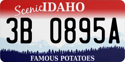 ID license plate 3B0895A