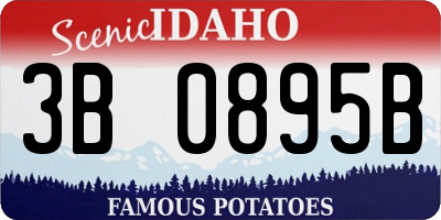 ID license plate 3B0895B