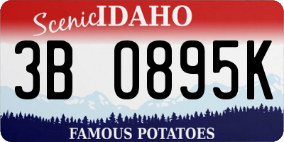 ID license plate 3B0895K