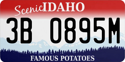 ID license plate 3B0895M