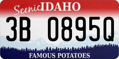 ID license plate 3B0895Q