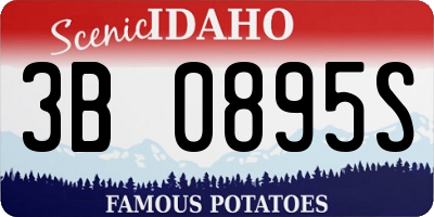 ID license plate 3B0895S
