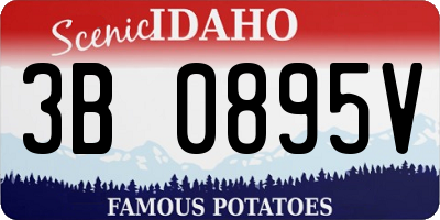 ID license plate 3B0895V