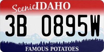 ID license plate 3B0895W