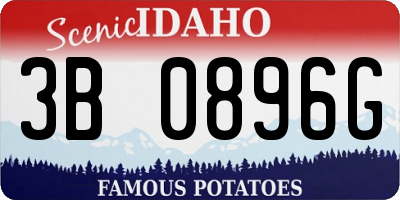 ID license plate 3B0896G