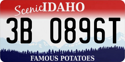 ID license plate 3B0896T