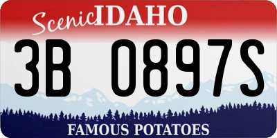 ID license plate 3B0897S