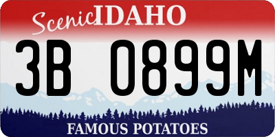 ID license plate 3B0899M