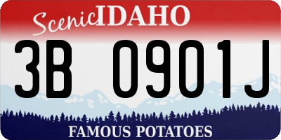 ID license plate 3B0901J