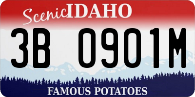 ID license plate 3B0901M