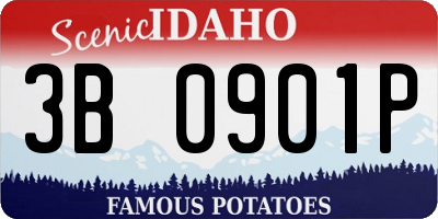 ID license plate 3B0901P