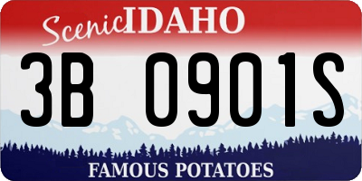 ID license plate 3B0901S