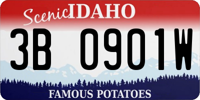 ID license plate 3B0901W