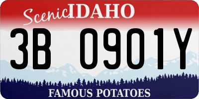 ID license plate 3B0901Y