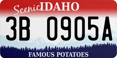 ID license plate 3B0905A